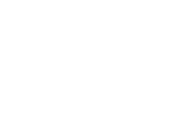 南京芯測軟件技術有限公司